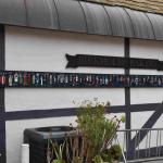 DSC_0093_01 (August 23, 2020)